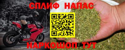 ПСИЛОЦИБИНОВЫЕ ГРИБЫ Коммунар