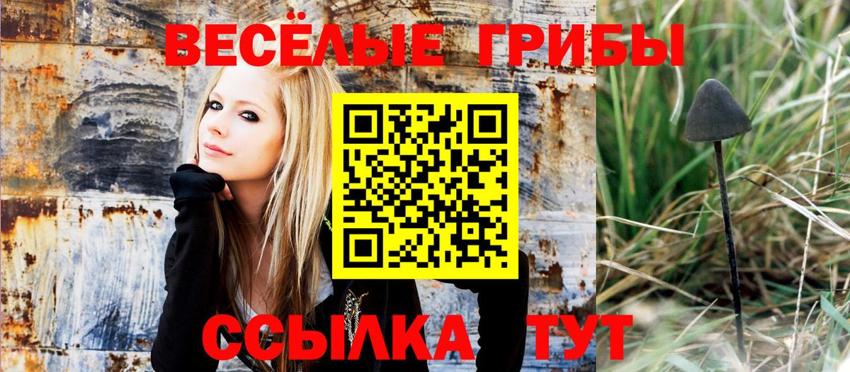 Корсаков  Псилоцибиновые грибы Cubensis  Вход с VPN  Псилоцибиновые грибы мицелий 