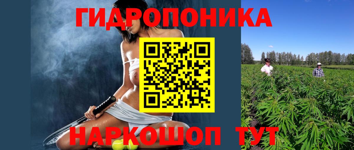 МАРИХУАНА гибрид Корсаков